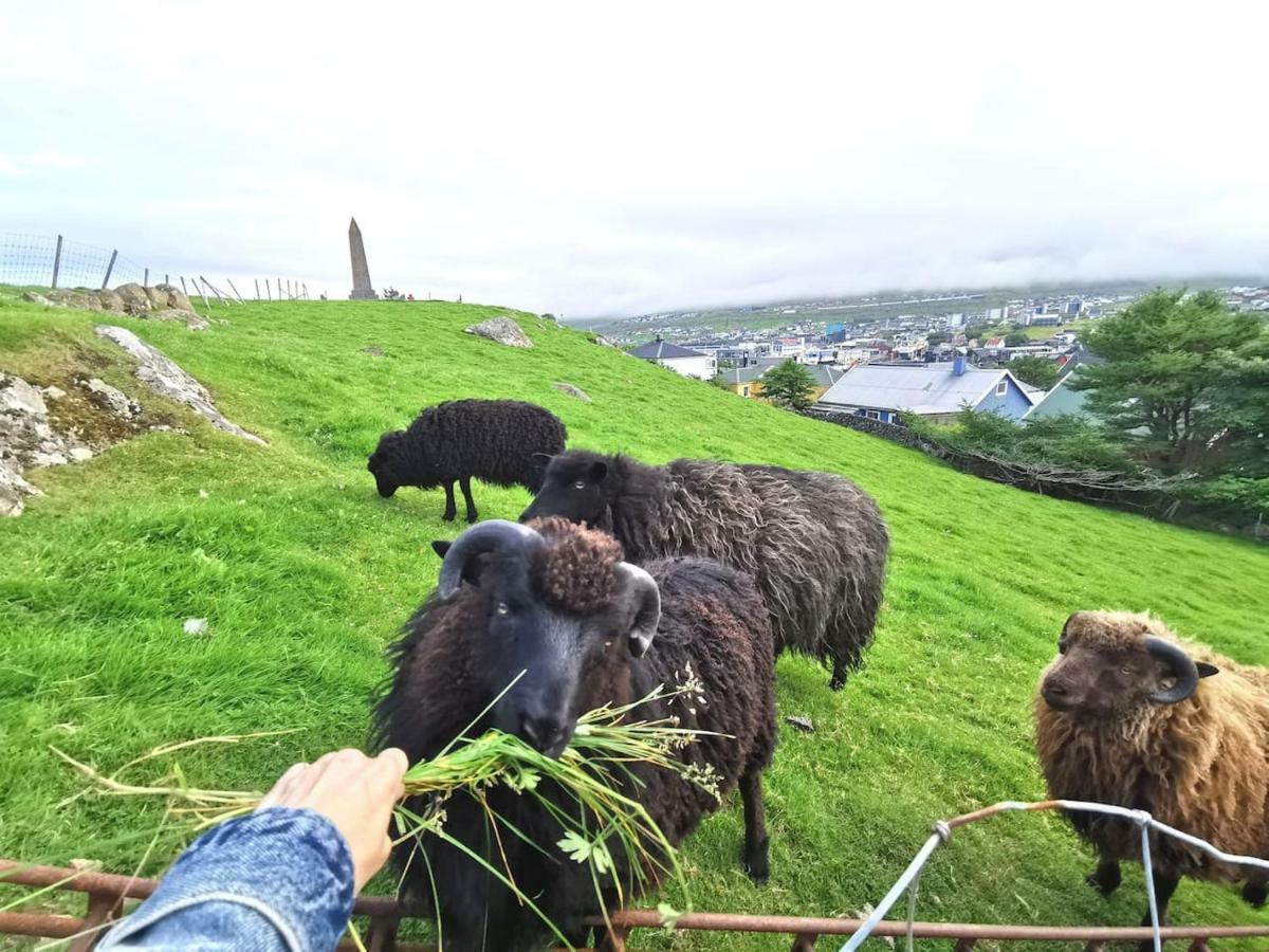 A Green Pearl In The Heart Of Torshavn Exterior photo